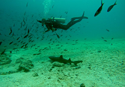 Buceo en Galápagos.